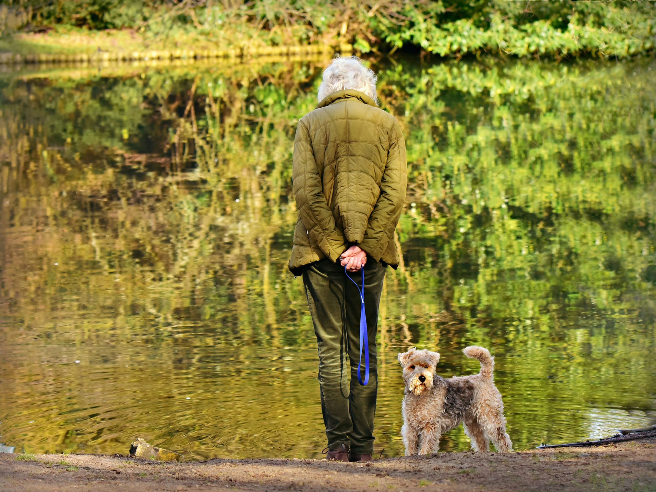 Older woman with her dog on a leash, pausing her walk to look at a lake.