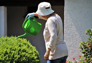 Older woman watering her plants in the garden as part of a healthy green lifestyle